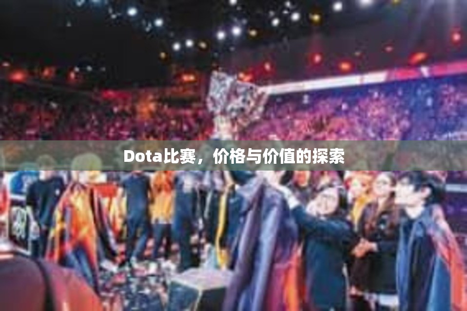 Dota比赛，价格与价值的探索